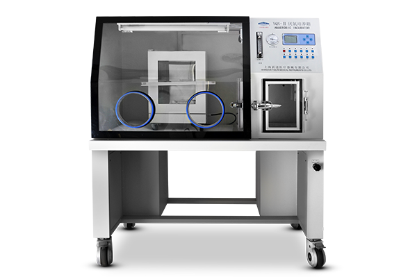 厌氧培养箱
